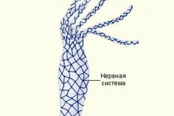 Кракен ссылка 2web